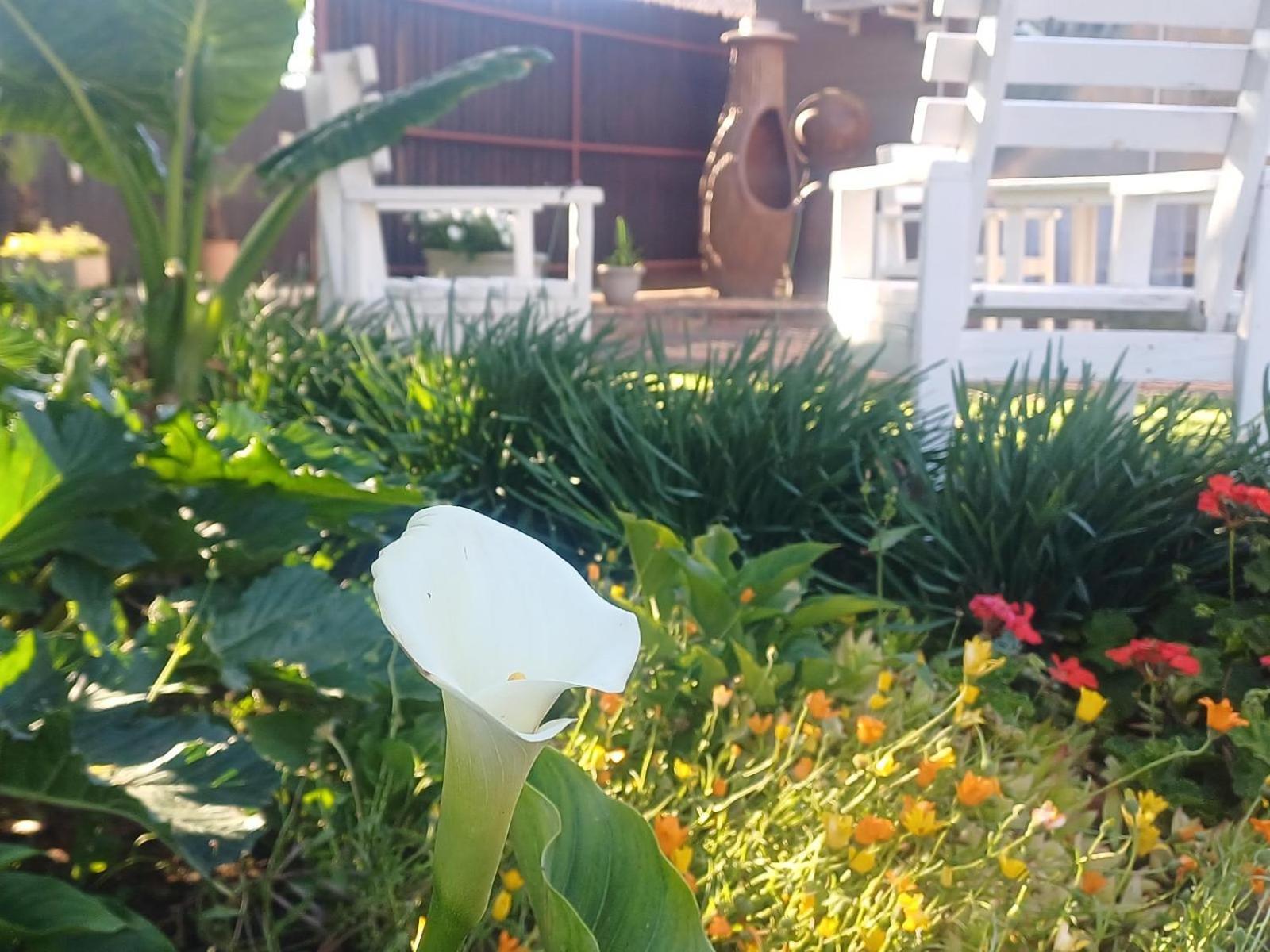 בלומפונטייין Ceelee'S Place מראה חיצוני תמונה