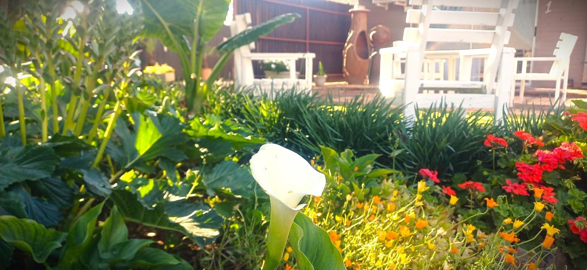בלומפונטייין Ceelee'S Place מראה חיצוני תמונה